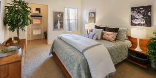 Shadow Hills by Mark-Taylor Gallery 6