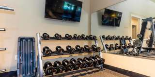 Harwood Hills Gallery 79