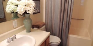 Sommerset Apartments Gallery 17