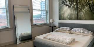 The Diplomat Gallery 3