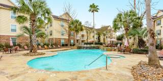 Stone Mist Gallery 29