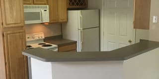 Oxford at Iron Horse Gallery 4