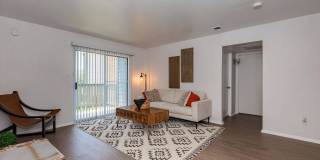 Forest Ridge Gallery 39