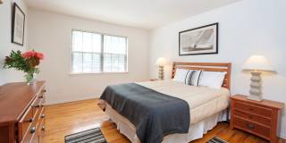 Somerset Mews Gallery 3