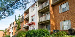 Summer Ridge Summer Ridge Gallery 21