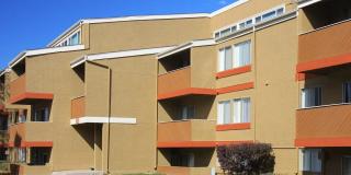 Village East Gallery 29