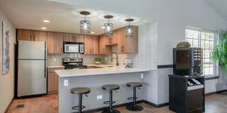 Chestnut Ridge Gallery 6