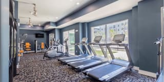 The Abbey at Sonterra Gallery 19