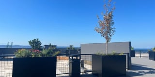 The Waterline Apartments Gallery 26