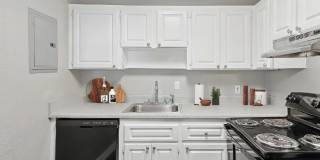 Celebration at Sandy Springs Gallery 16