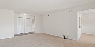 Camden Hills Gallery 9