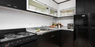 3130 North Lake Shore Drive Gallery 1