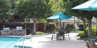 Rose Pointe Gallery 89