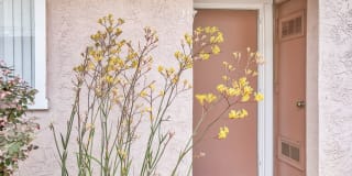 Linda Vista Village Gallery 19