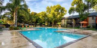 The Falls at Arden Gallery 35