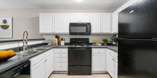 Aria Lake Carolina Gallery 21