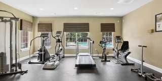 Ellington Woods Apartments Gallery 17