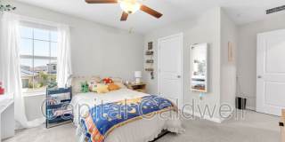 9434 Lemon Drop Loop Gallery 31