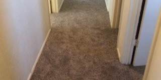 HOME NEAR UNIVERSITY NEW CARPET Gallery 17