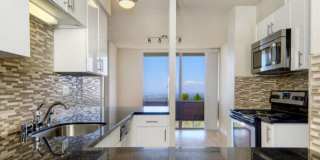 Skyline Terrace Gallery 4