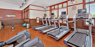 Twin Lake Towers Apartments Gallery 30