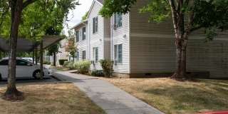 Willow Springs Gallery 8