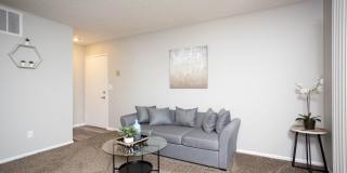 Available now, in Dublin City Schools! Gallery 31