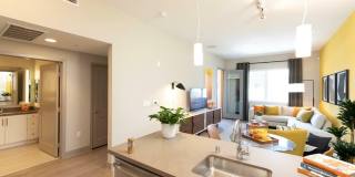 770 South Harbor Gallery 6