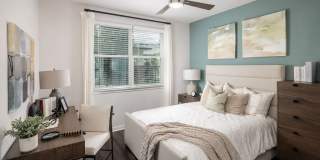 Cielo View Gallery 22