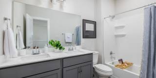 Caso University Heights Gallery 11