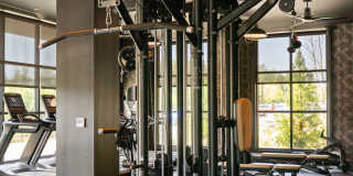 Madison West Elm Gallery 52