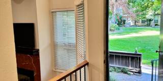 2 Bedroom, 2 Bath Condo Gallery 6