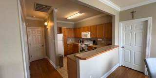 LSU area Gallery 1