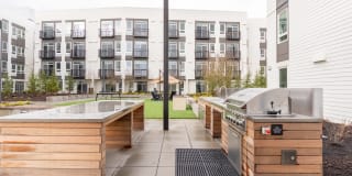 Modera River Trail Gallery 34