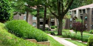 PeachTree of McLean Gallery 23