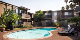 Elán Avante Apartment Homes Gallery 7