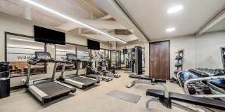 ReNew on Stout Gallery 33