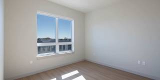 The Basin Gallery 13