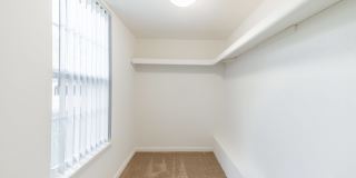 Whethersfield Gallery 35