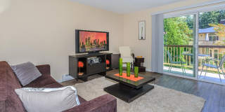 Carrington Gallery 43