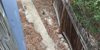 7202 Crossbow Trail Gallery 1