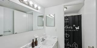 Marco Meadows Gallery 11