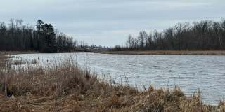 Beautiful 3 Bedroom Home on Rice Lake Gallery 1