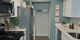 Palms of Clearwater Gallery 27