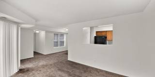 Geno Baroni Gallery 8