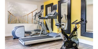 Sofi Dublin Gallery 18