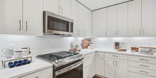 Society at Laurens Gallery 48