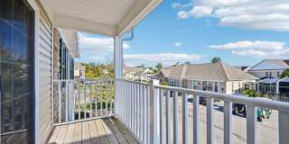 Square at Latham Park Gallery 11