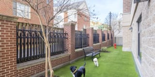 Kanso Silver Spring Gallery 25