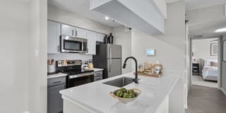 The Jaxon Gallery 21